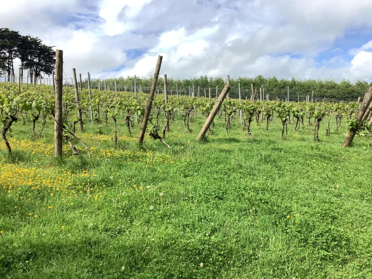 Polgoon Vineyard Annex Penzanceアパートメント エクステリア 写真